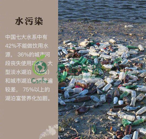 世界地球日 我們能為地球做些什么？(圖2)