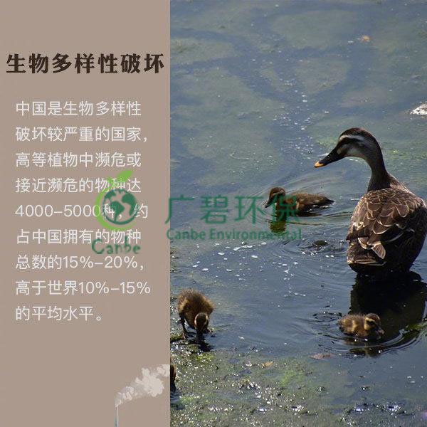 世界地球日 我們能為地球做些什么？(圖6)