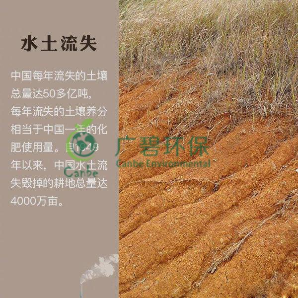 世界地球日 我們能為地球做些什么？(圖7)
