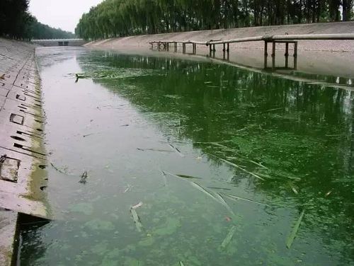 城市黑臭河道如何治理？河道黑臭水體治理思路(圖1)