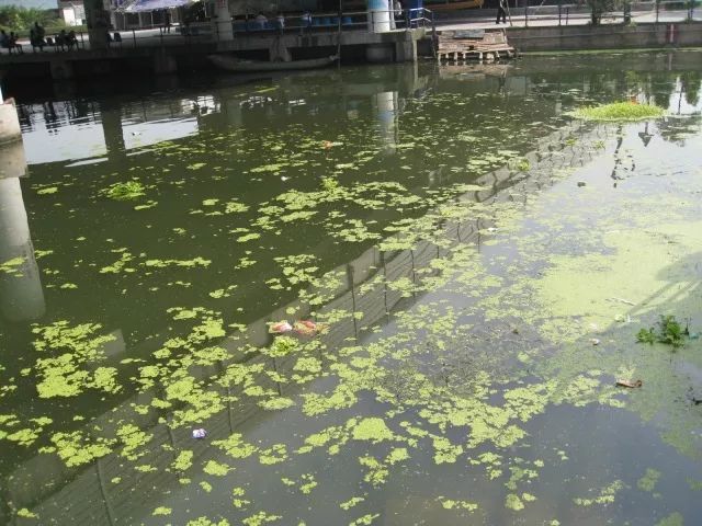 城市黑臭河道如何治理？河道黑臭水體治理思路