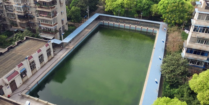 游泳池水變綠是什么原因？游泳池水處理方法