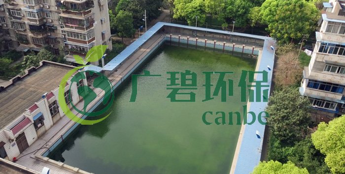 游泳池水變綠是什么原因？游泳池水處理方法(圖1)