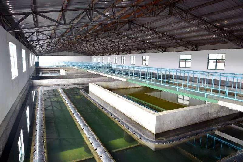 什么是制糖廢水？制糖廢水處理技術(shù)