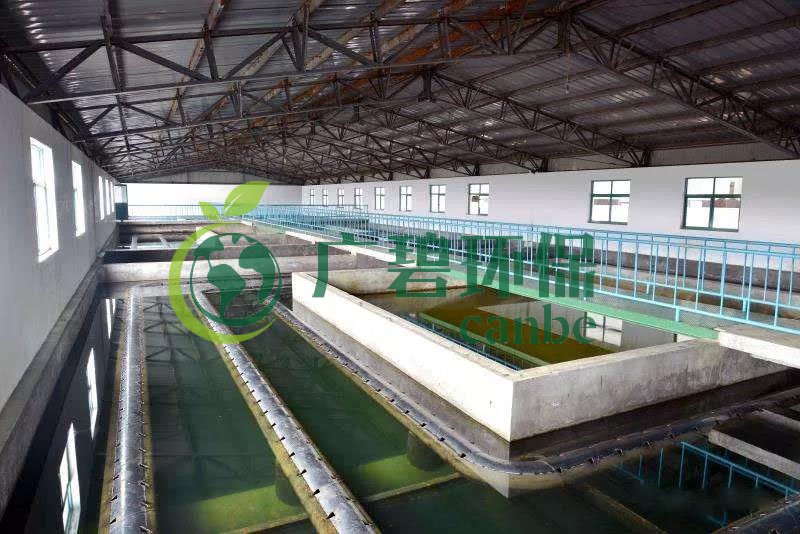 什么是制糖廢水？制糖廢水處理技術(shù)(圖1)