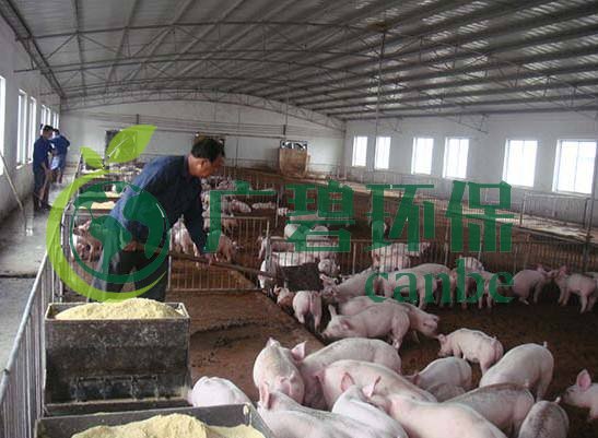 什么是養(yǎng)殖廢水？養(yǎng)殖廢水處理工藝(圖1)