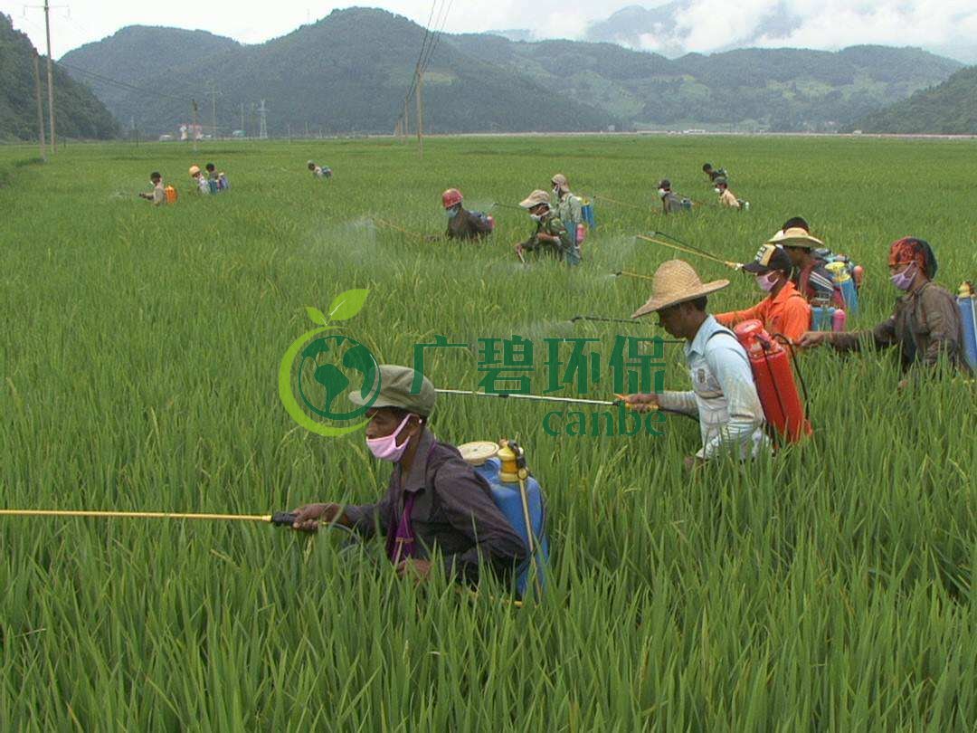 農(nóng)藥廢水是什么？農(nóng)藥廢水特點(diǎn)與處理工藝(圖1)