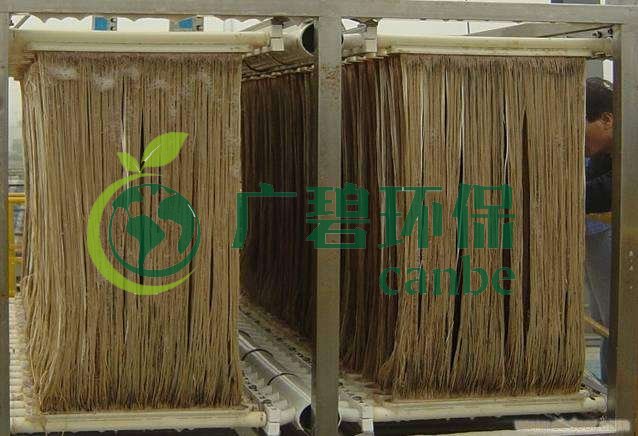 MBR污泥膨脹怎么處理？污泥膨脹的處理方法(圖1)