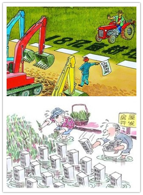 土壤侵蝕是什么？什么導(dǎo)致了土壤侵蝕？(圖3)